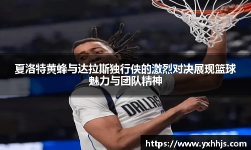 夏洛特黄蜂与达拉斯独行侠的激烈对决展现篮球魅力与团队精神