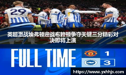 英超激战埃弗顿迎战布赖顿争夺关键三分精彩对决即将上演